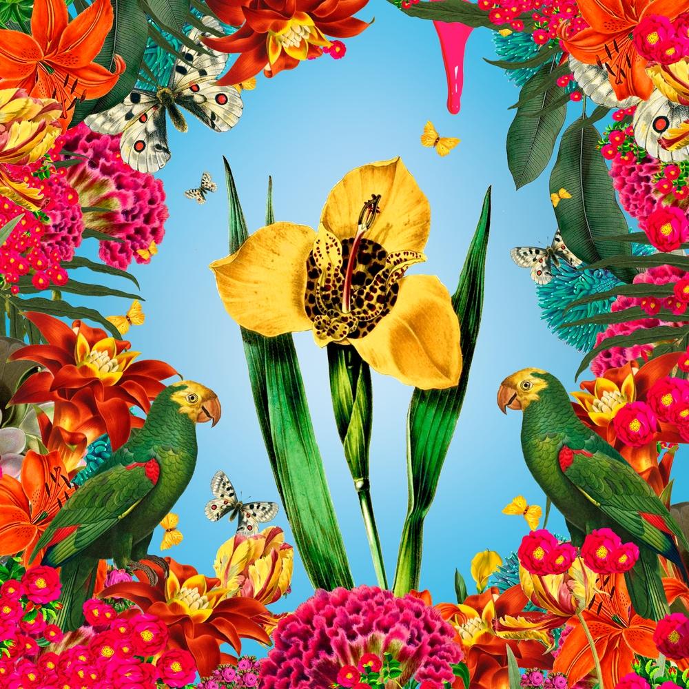 David Krovblit - Flowers for you - Tigridia () - Ethos Arts Inc.