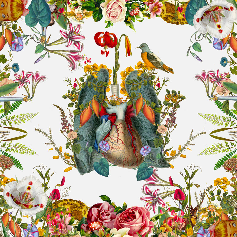David Krovblit - Lungs in the Flower Jungle () - Ethos Arts Inc.