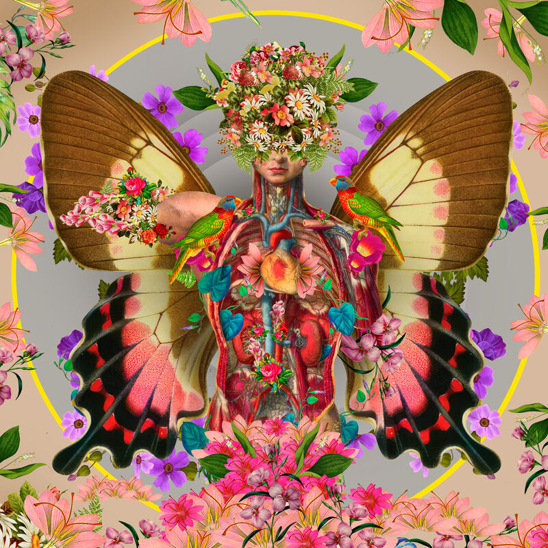 David Krovblit - Separate Yourself - Mind. Body. Soul, 2024 () - Ethos Arts Inc.