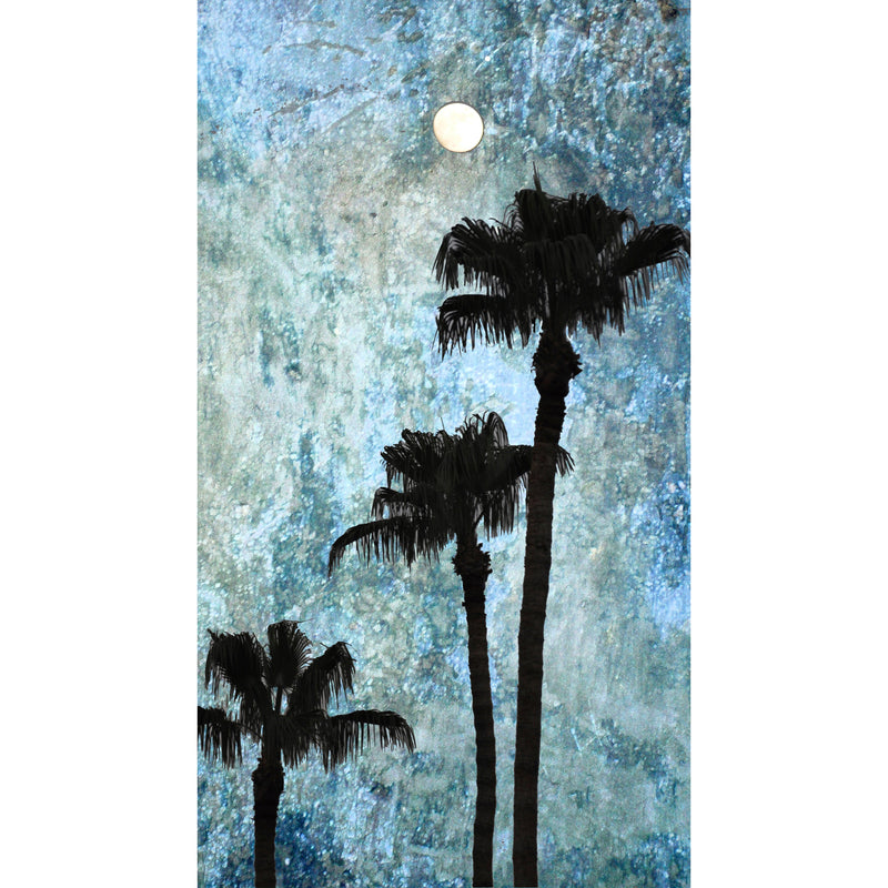 Gerrie Lewis- Desert Night (Photography Print) - Ethos Arts Inc.