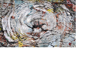 Gerrie Lewis- Wood Over Matter (Photography Print) - Ethos Arts Inc.
