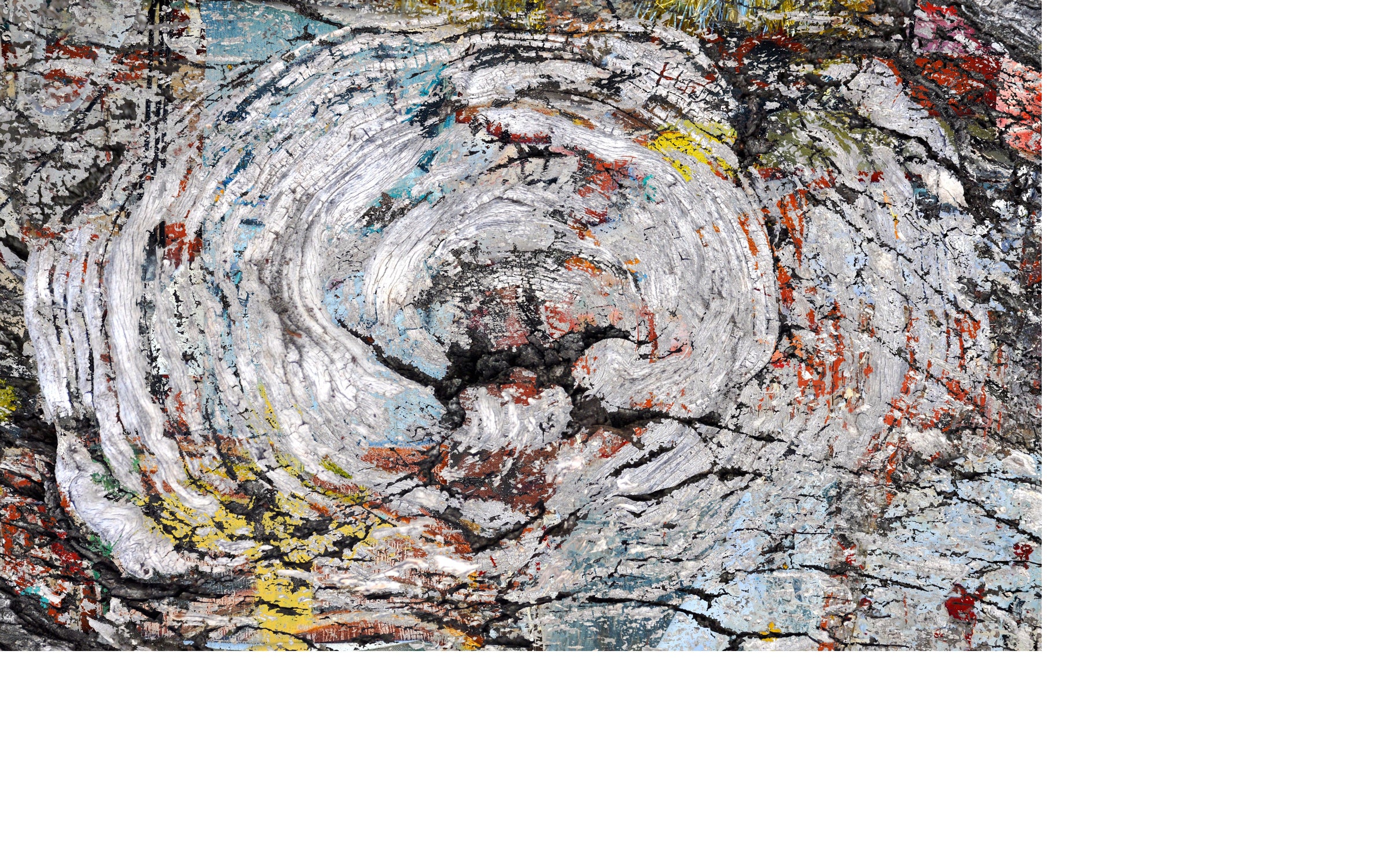 Gerrie Lewis- Wood Over Matter (Photography Print) - Ethos Arts Inc.