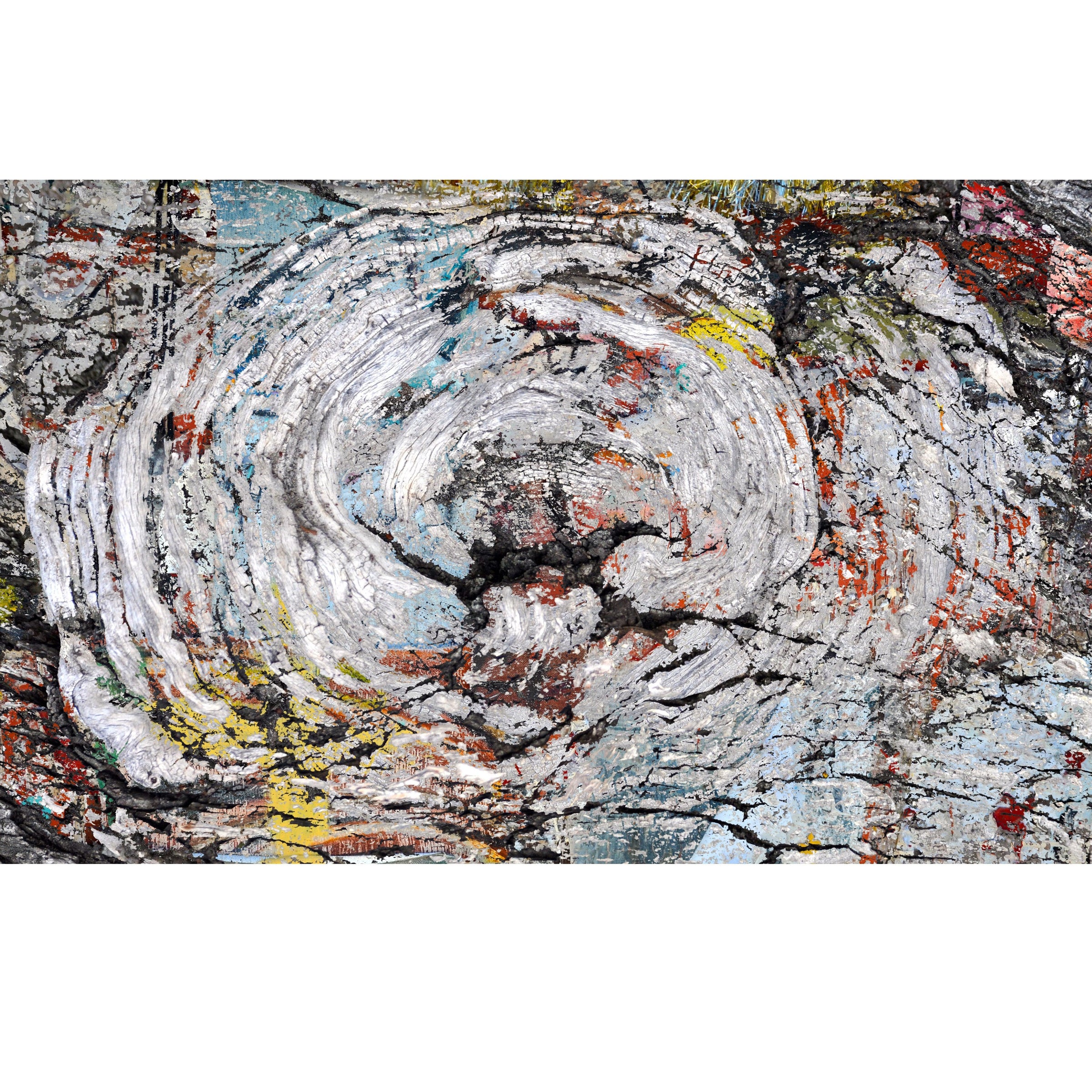 Gerrie Lewis- Wood Over Matter (Photography Print) - Ethos Arts Inc.