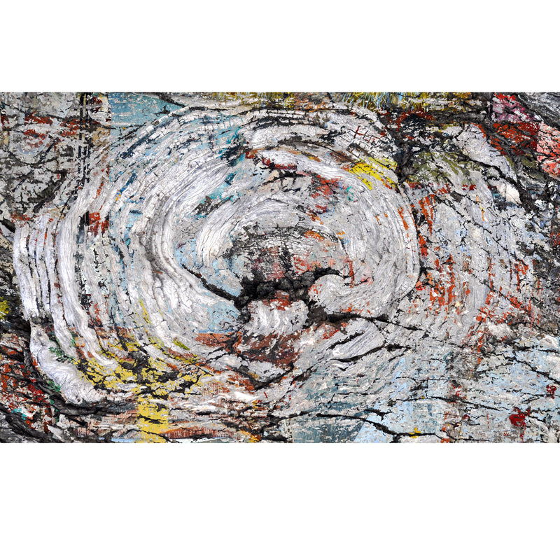 Gerrie Lewis- Wood Over Matter (Photography Print) - Ethos Arts Inc.