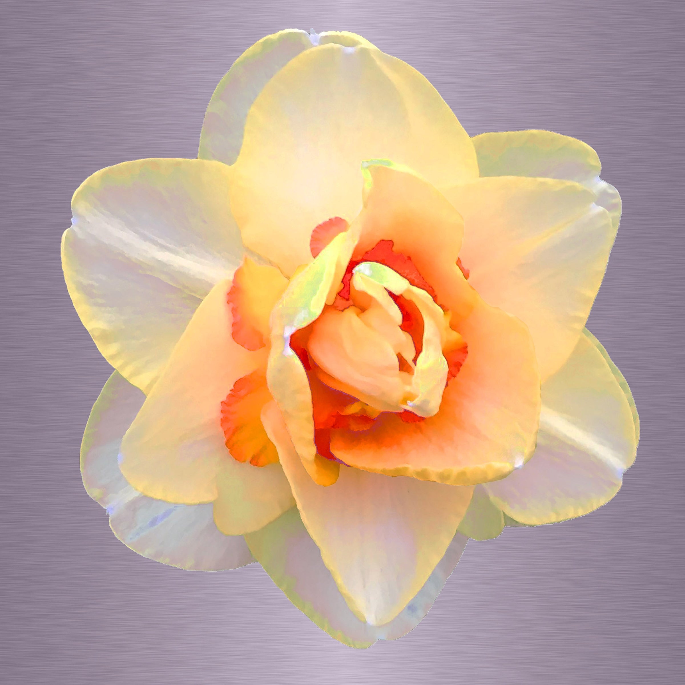 Luke Reichle - Narcissus #1 (Photography Print) - Ethos Arts Inc.