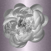 Luke Reichle- Peony #3 B&W (Photography Print) - Ethos Arts Inc.