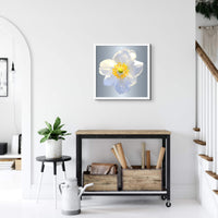 Luke Reichle - Anemone #1 (Photography Print) - Ethos Arts Inc.