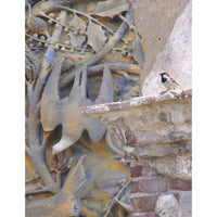 Gerrie Lewis- Simplicity (Photography Print) - Ethos Arts Inc.