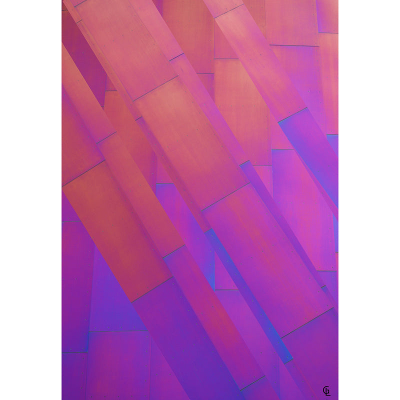Gerrie Lewis- Amaranthine I (Photography Print) - Ethos Arts Inc.