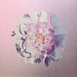 Luke Reichle - Peony on Pink (Print) - Ethos Arts Inc.