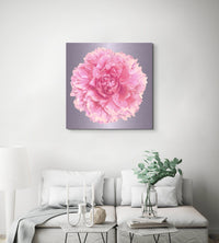 Luke Reichle - Peony #4 (Photography Print) - Ethos Arts Inc.