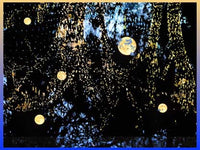 Gerrie Lewis- Moon (Photography Print) - Ethos Arts Inc.