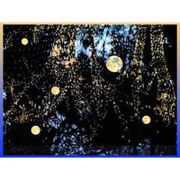 Gerrie Lewis- Moon (Photography Print) - Ethos Arts Inc.