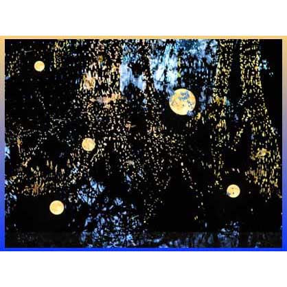 Gerrie Lewis- Moon (Photography Print) - Ethos Arts Inc.