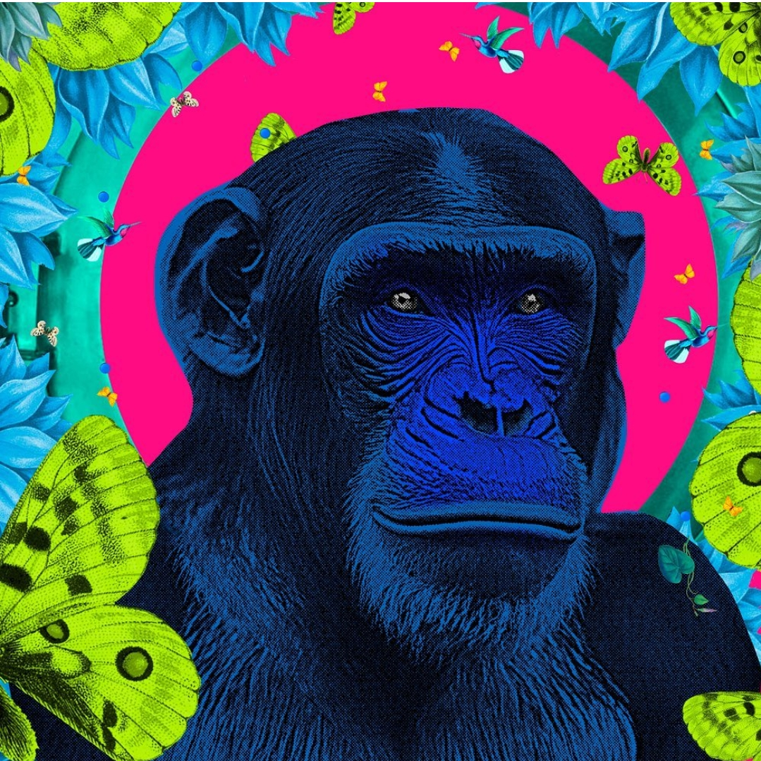 David Krovblit - Ape Man (1/1), 2023 (Print) - Ethos Arts Inc.