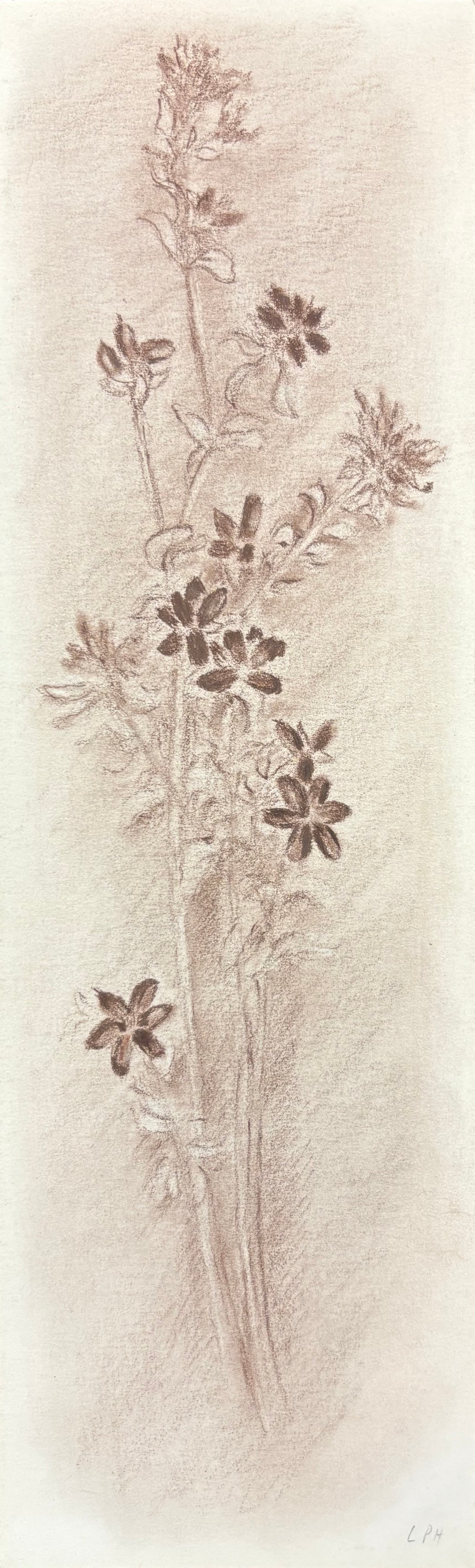 Untitled 17 () - Ethos Arts Inc.