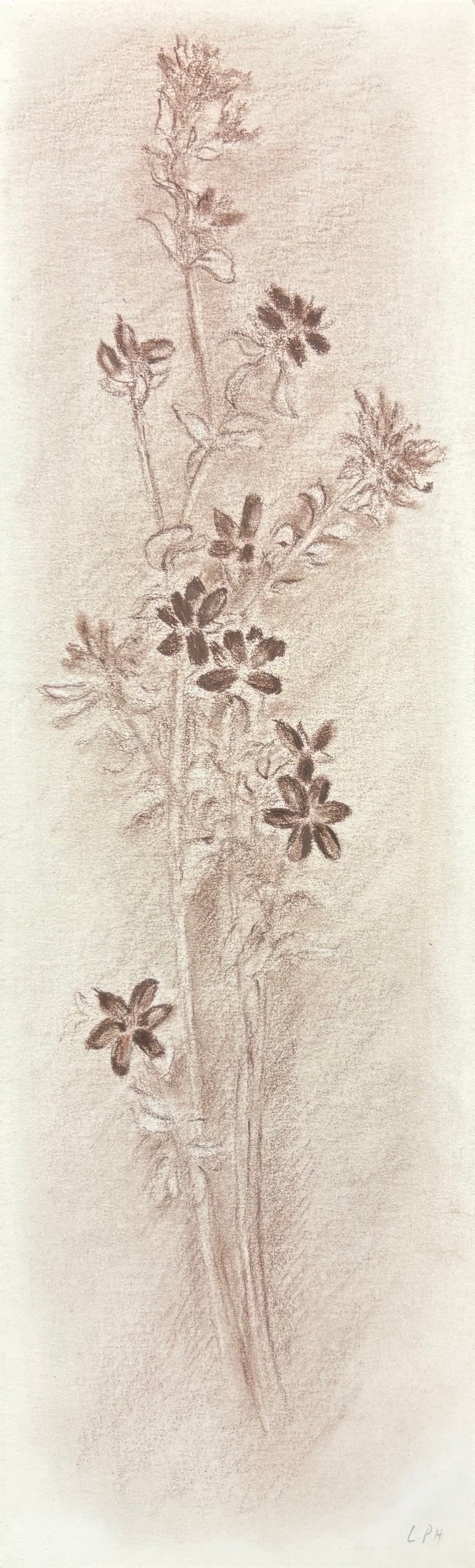 Untitled 17 () - Ethos Arts Inc.