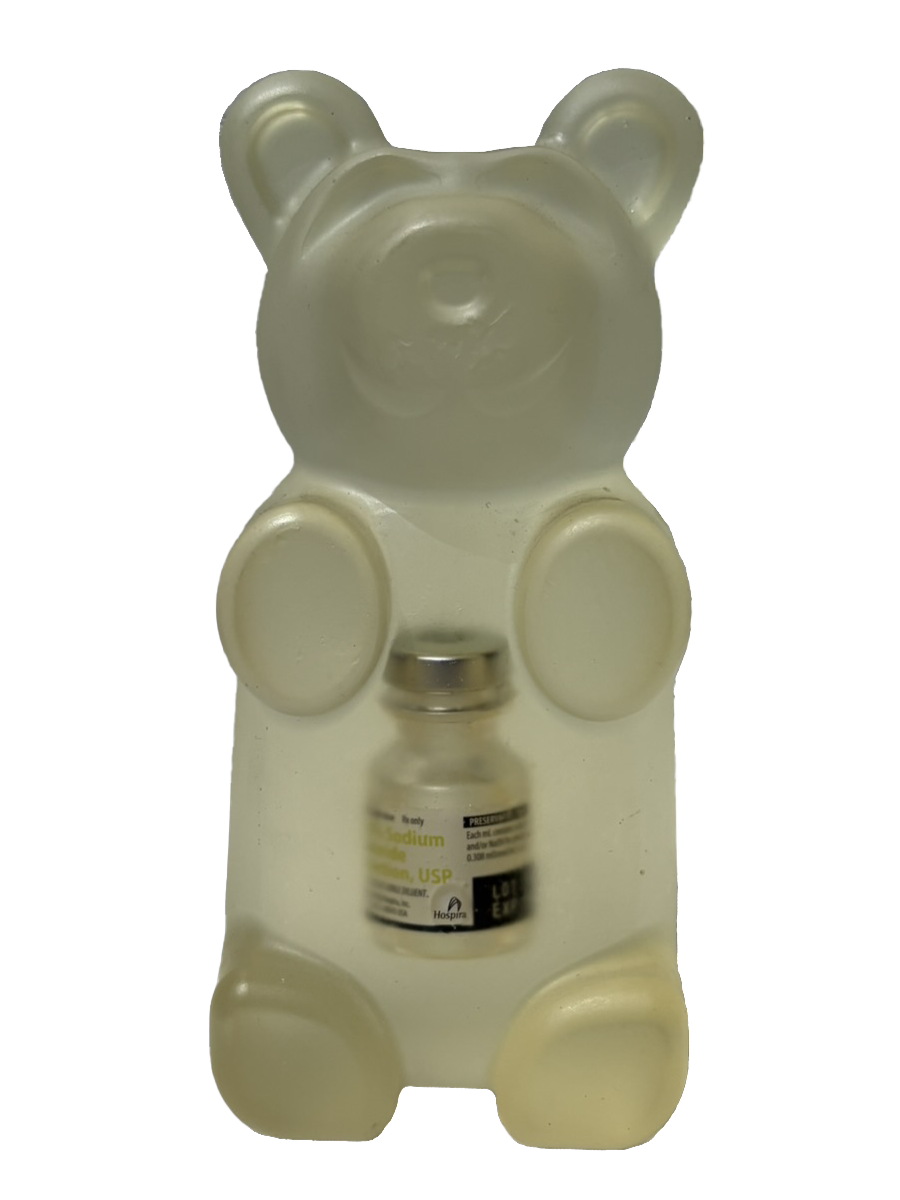 Sahara Novotna - Saline Bear (Sculpture) - Ethos Arts Inc.