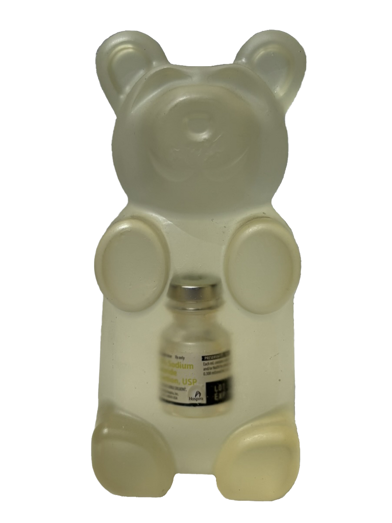 Sahara Novotna - Saline Bear (Sculpture) - Ethos Arts Inc.