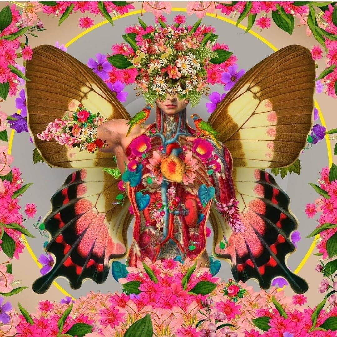 David Krovblit - Separate Yourself - Mind. Body. Soul., 2024 () - Ethos Arts Inc.
