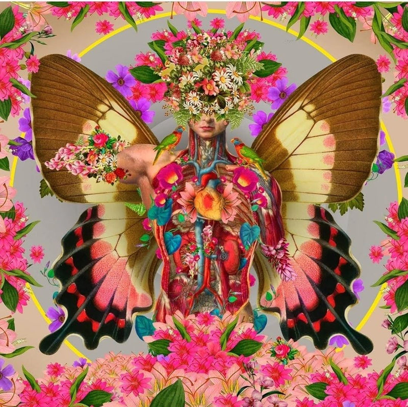David Krovblit - Separate Yourself - Mind. Body. Soul., 2024 () - Ethos Arts Inc.