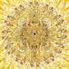 JT Burke - Yellow-Gold Bling Burst, 2020 (Digital Print) - Ethos Arts Inc.